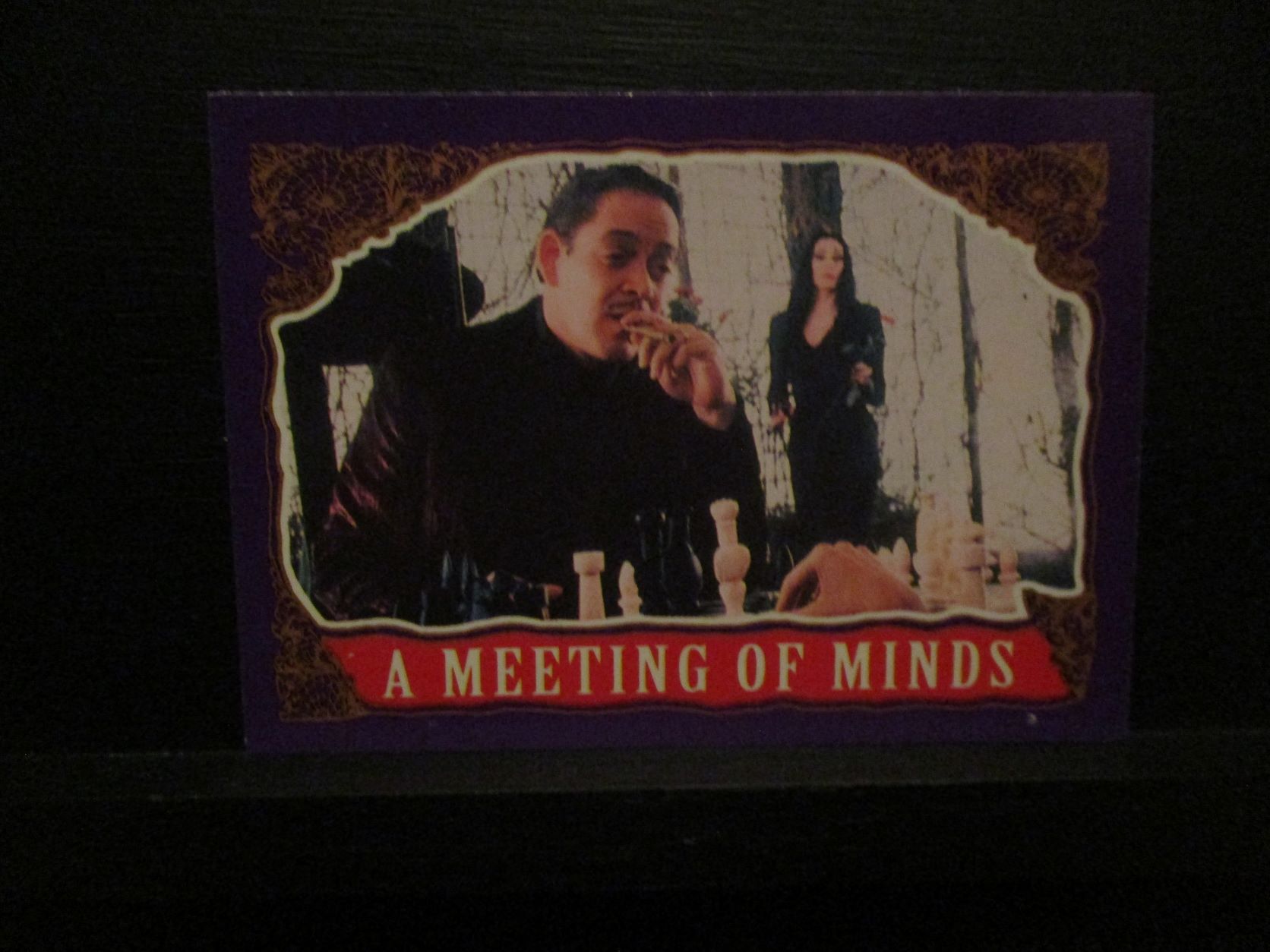 The Addams Family Trading Cards Single